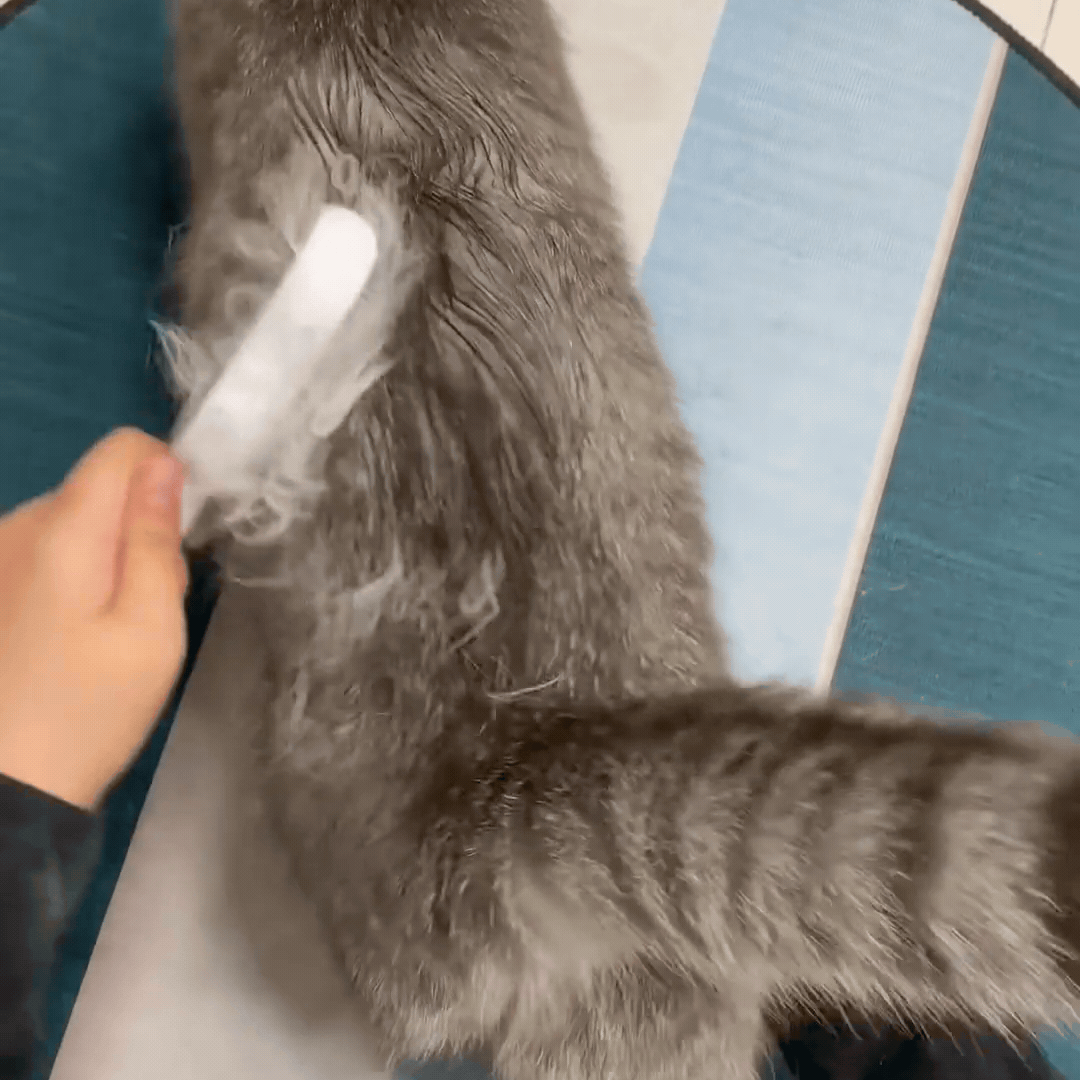 PurrClean 3w1- inteligentka szczotka dla kotów