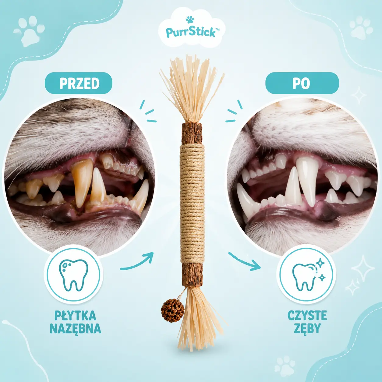 PurrStick - zadbaj o zdrowie i nastrój pupila