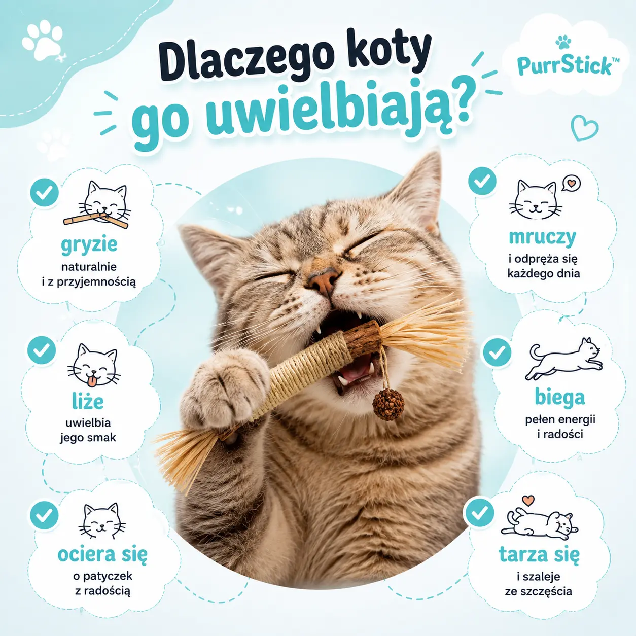 PurrStick - zadbaj o zdrowie i nastrój pupila